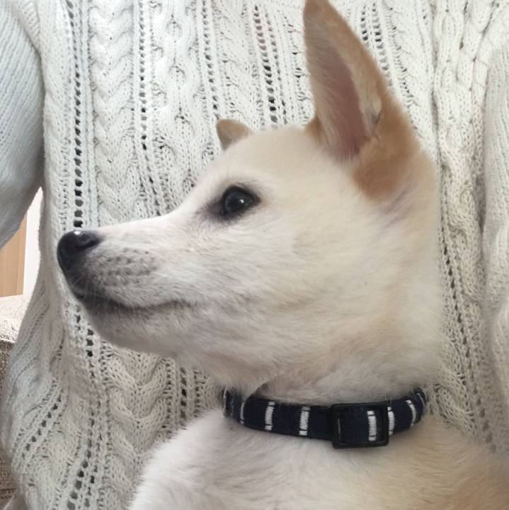 Cbac6dc8 060b 4f56 8707 9056685f78d0