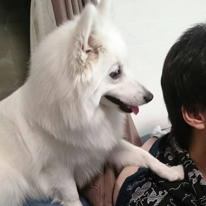 Cbac95e9 77e8 402d a69b 1391d5e4cad7