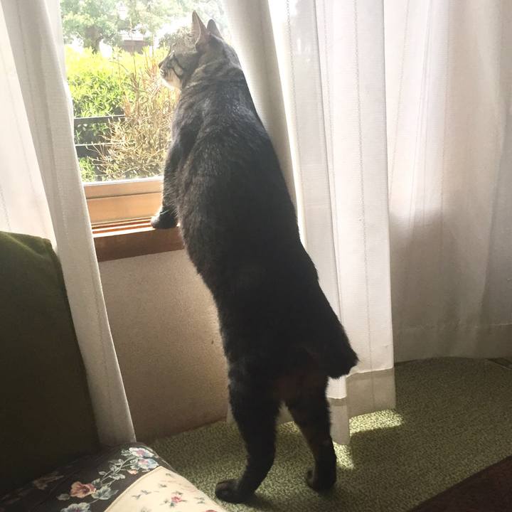 Cbaca2bf 0660 41dd b9a8 9d362e344f69