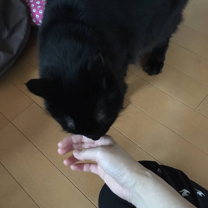 Cbaca43d adc6 43a8 bb79 0dc9a595722a