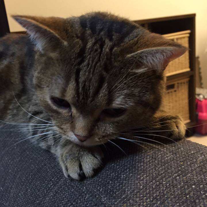 Cbacb2ca 8703 4ec0 918e f8dc615a8bdb