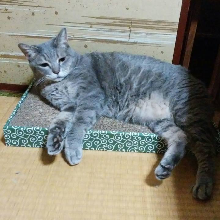 Cbad88d0 6ec9 4ee2 9394 b8c1437b3264