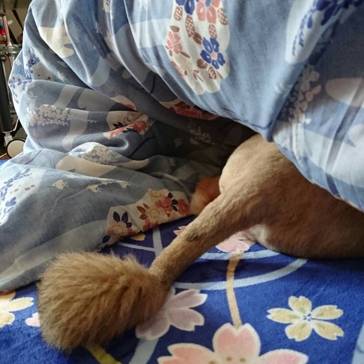 Cbad89a1 2aca 4716 8e36 b02559848e19