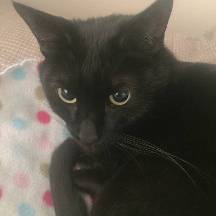 Cbadb455 e495 4c77 944b 65b1b275be70