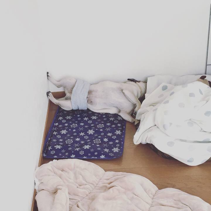 Cbadc55f 29a9 4a91 bcaf a9d63489bb52