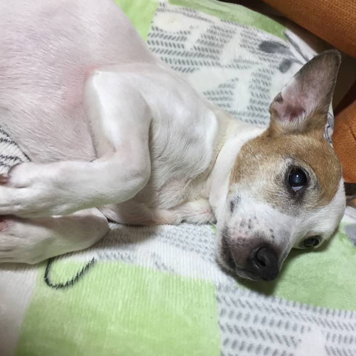 Cbade9eb 9e58 432a bf25 b268c40892ad