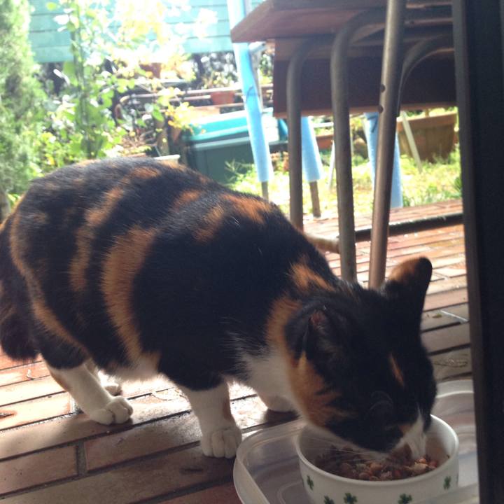 Cbae4a33 2316 41e2 9314 cba989498bb4