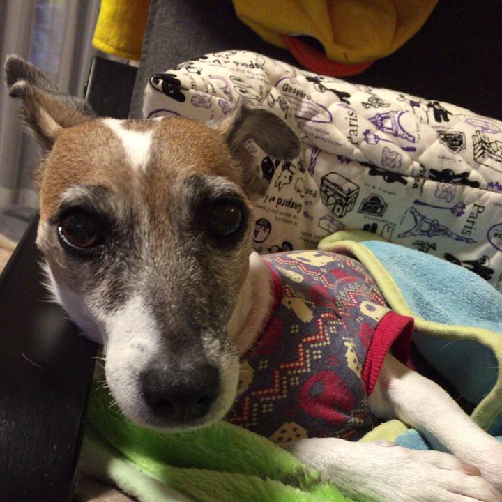 Cbae54e7 3829 4bae 8aea ed4c11014cc9