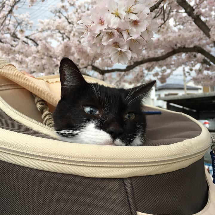 Cbaed13b eb4a 4a22 8722 582b32a4d1d8