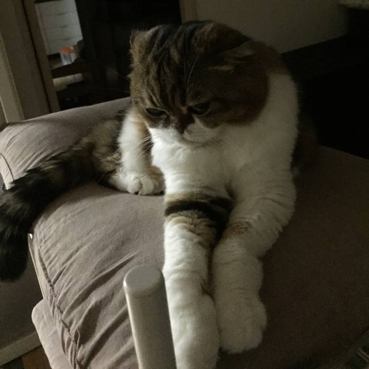 Cbaeed63 373a 44c1 a631 710949874916