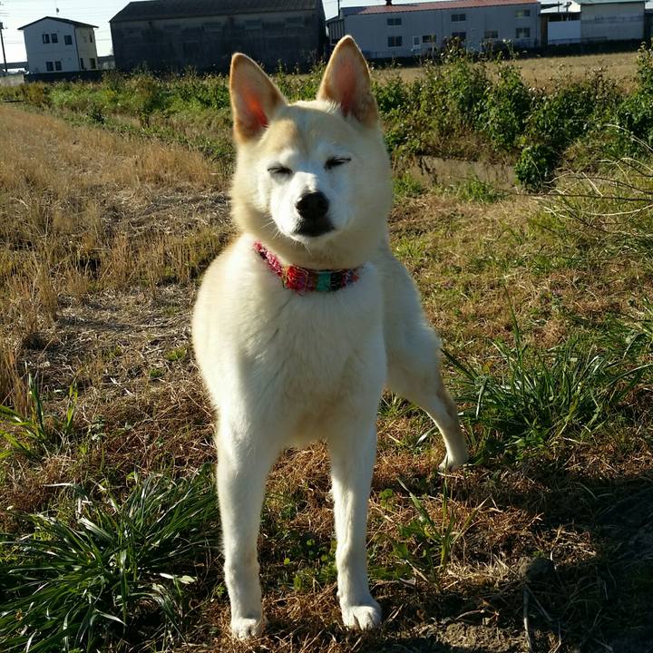 Cbaf2d86 70e3 4086 9682 fcae7f0f3a40