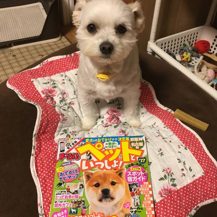 Cbaf353d cf31 41c2 8aa9 62a30145e180