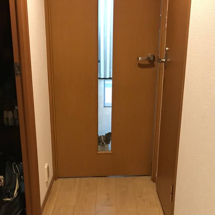 Cbafc354 5c0e 4675 bf1d 5b653968d96c