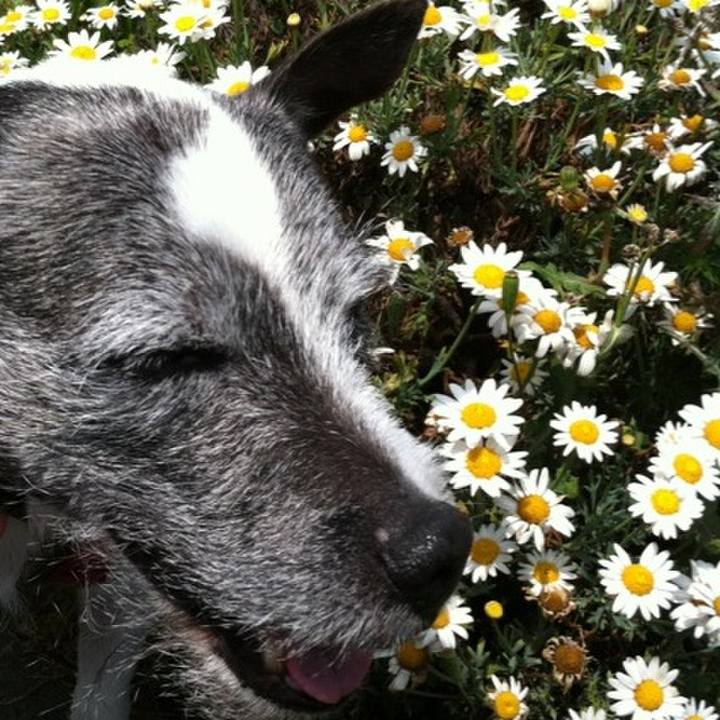 Cbafd062 ac22 477a ade5 9dae7c0b7bfe