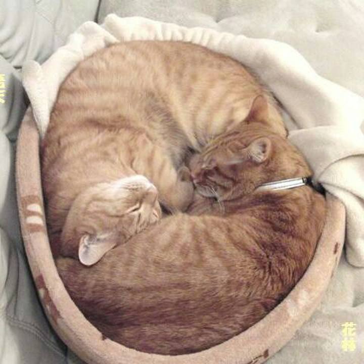 Cbb0e378 4f37 4005 96f0 5d99ac634c87