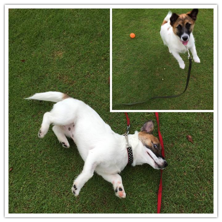 Cbb321c6 ec2b 420b a2db f0ad07d79836