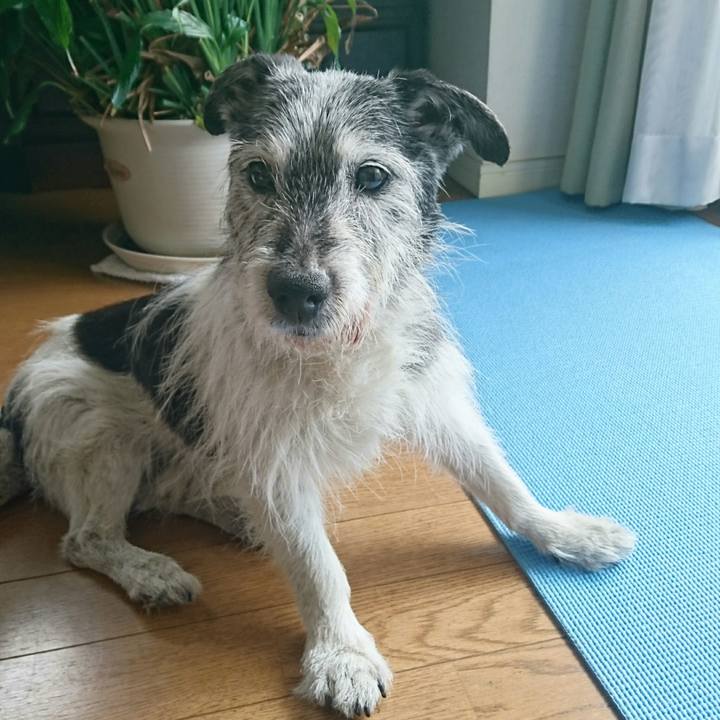 Cbb3363e 2886 4e07 b3ab 6ee407dce962