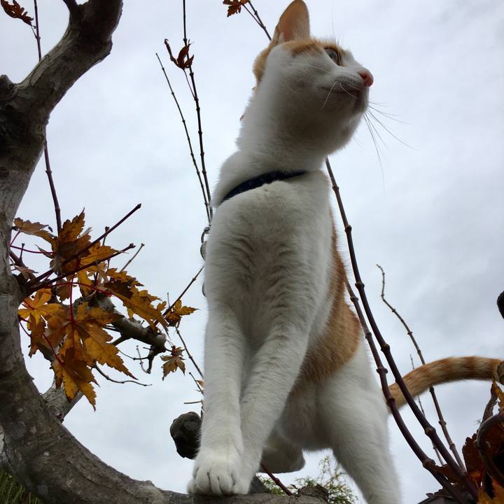 Cbb3b5bb e778 4dd9 b902 cff3f6dac4f7