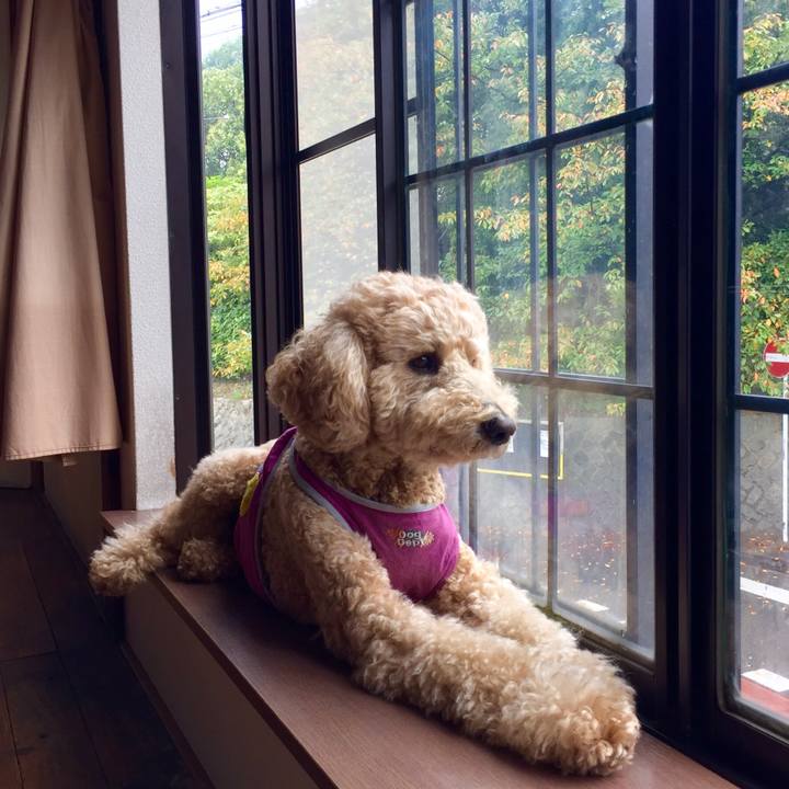 Cbb435cf 7494 463c 901f 8084d4d23248