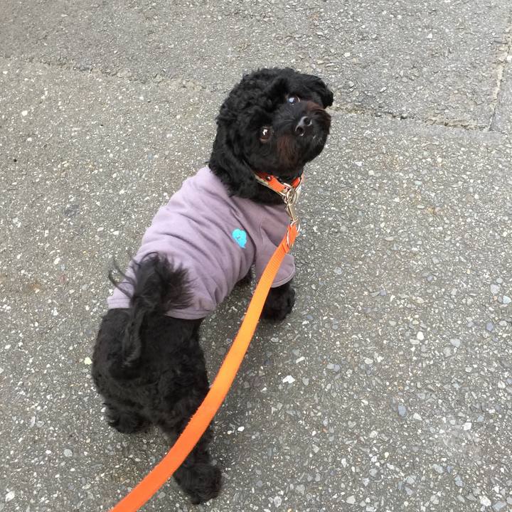 Cbb47471 4aa5 4559 82cc a61ce5a599b1