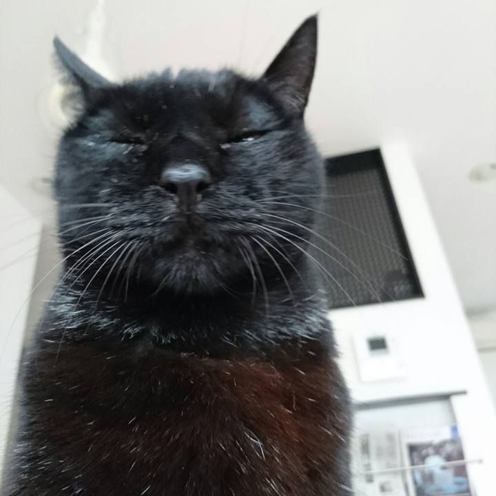 Cbb4e30f 6753 47aa b85d 9daef40742fd