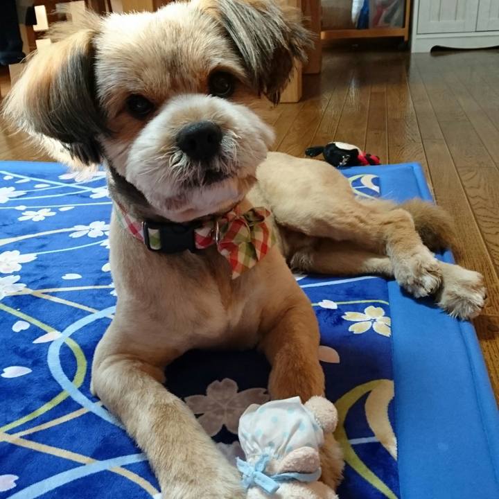 Cbb5b40b 4d35 45df 90ff 009411d41c98