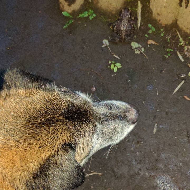 Cbb5efe0 07d2 40a4 bd8a cb7efb9f3502