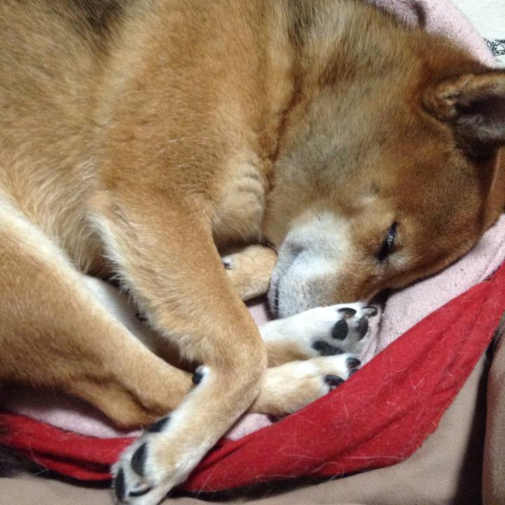 Cbb6579e 2ad5 4e15 84cd ae694f4170f4