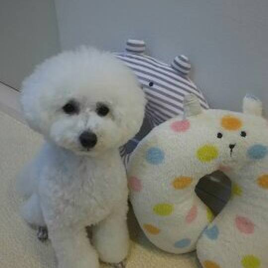 Cbb6ea07 52d9 40e5 9f5c 7a5822e79c91