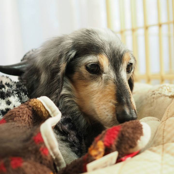 Cbb74869 6958 4453 87b4 6946aaf94832