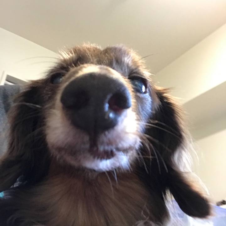 Cbb78896 d087 4d5d 83c3 0fcfa66b7b59