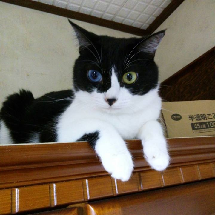 Cbb7fddf 86a2 47a0 81a3 4466f1791f2a