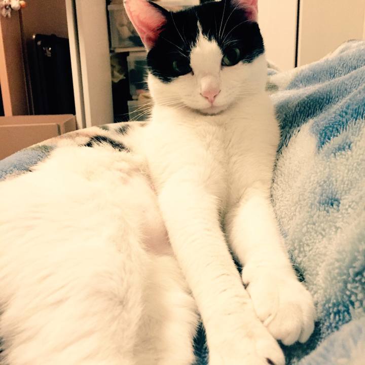 Cbb81998 6fa5 451b ad98 066da0e4b279