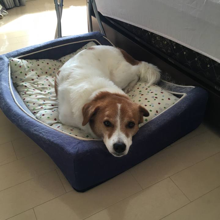 Cbb8c086 08ee 4518 809d cb0d441887e0