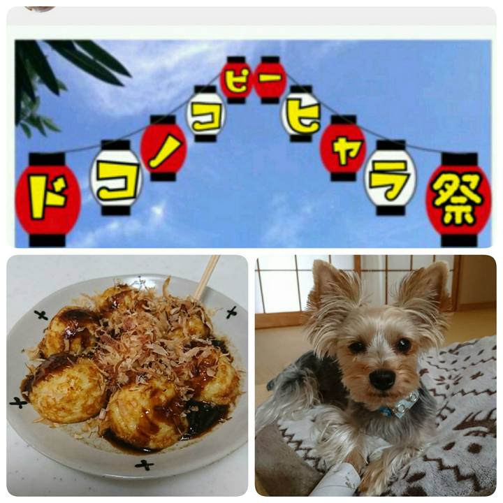 Cbb99ab4 b880 41df 91e3 d38433497323