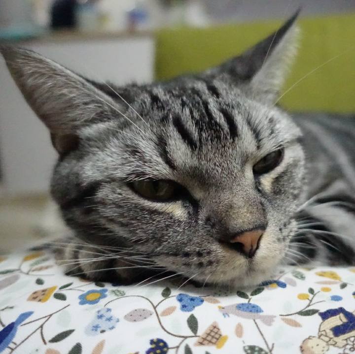 Cbb9a6e8 1a9d 47ce 9cc2 c013e6058366