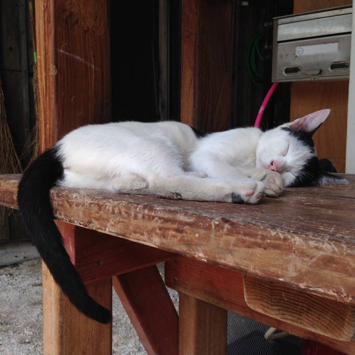 Cbb9d565 da90 44d9 b074 316131f56651