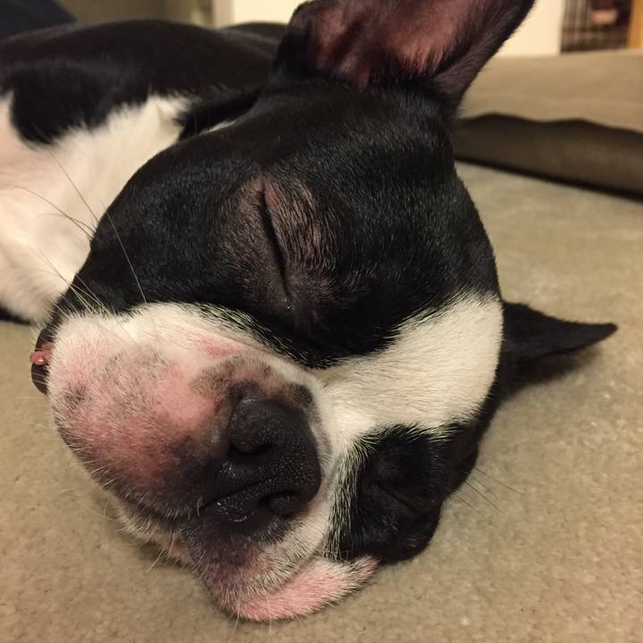 Cbba4623 5b3f 46eb a2e6 0a9ad7d47769