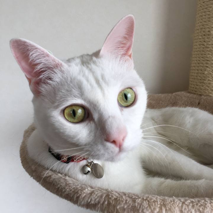 Cbba589c 2aef 461f 8fa1 236b5328a509