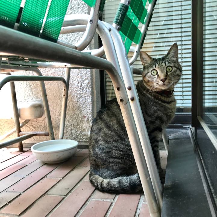 Cbba9c5f 3c15 48a6 a932 e5c5ba03d12b