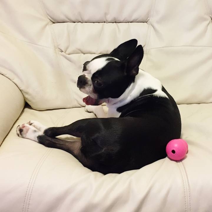 Cbbae87c ef2d 4448 9534 b93a4950da6f