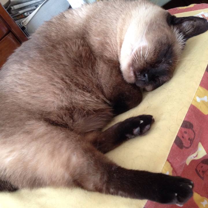 Cbbb9e4d ba95 46c5 8758 fe295fd11353