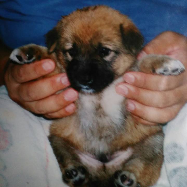 Cbbc0333 d2d0 45b0 b644 21eb4024acac