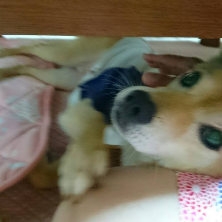 Cbbc0c8d 65e8 4bcb ac8f 83b9df6b394f