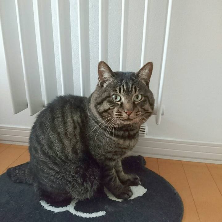 Cbbc0cb9 3aee 4414 9c96 ca78877c5822