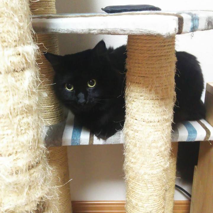 Cbbc99ef 9bcf 4a6f a483 9148fb851f41