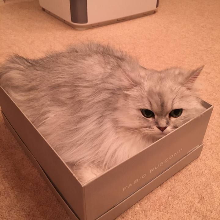 Cbbd2236 b626 489f a9dd b1036449b394