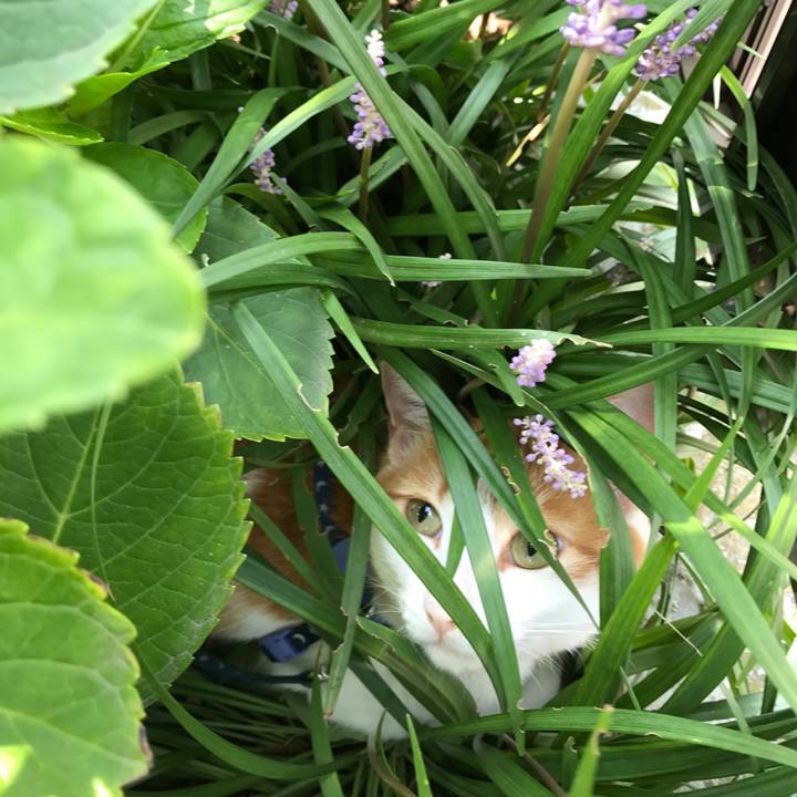 Cbbd3bb0 b7d3 48f3 9819 9bdb5bf9a0df