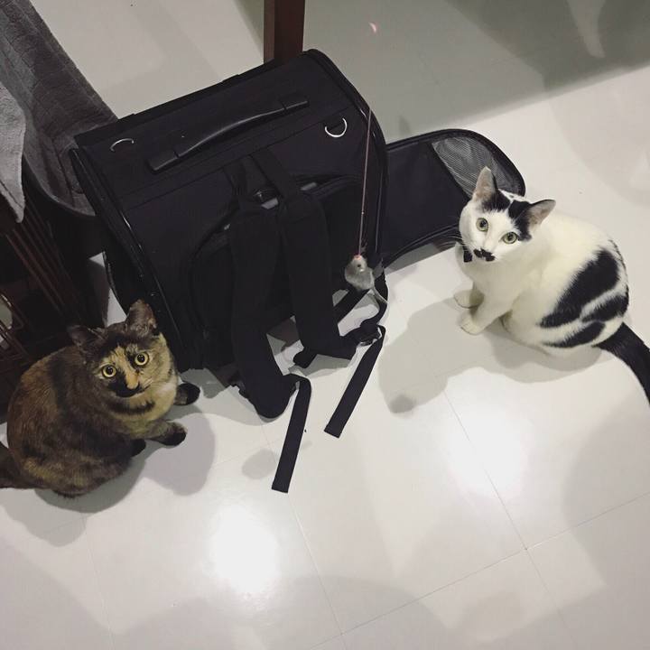 Cbbd7249 7eb4 40f7 8500 2e8288dec040