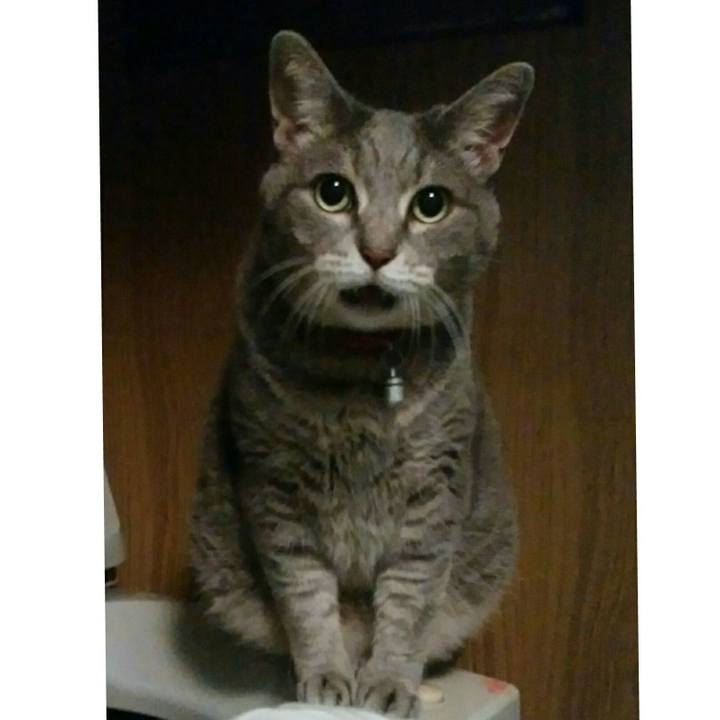 Cbbe47d2 c998 4179 8a01 1665c0123604